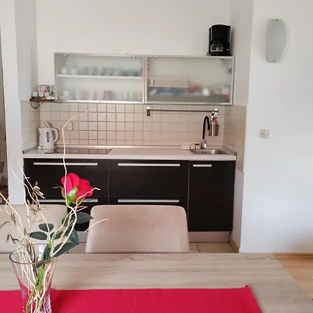 Pasa Apartman Medulin