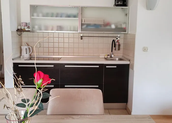 Pasa Appartement Medulin